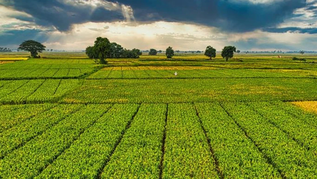 1 milyar 46 milyon TL’lik ödeme bugün hesaplarda