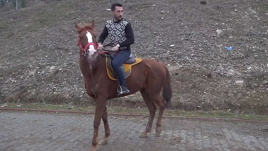 Dede yadigarı atçılığı yaşatmak için çiftlik kurdu