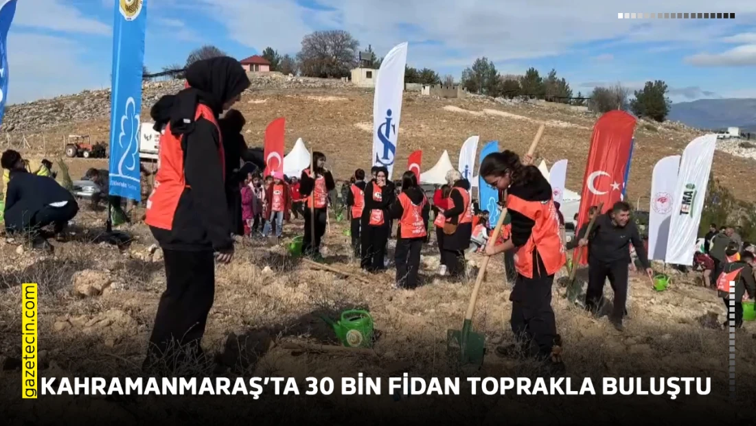Kahramanmaraş’ta 30 bin fidan toprakla buluştu
