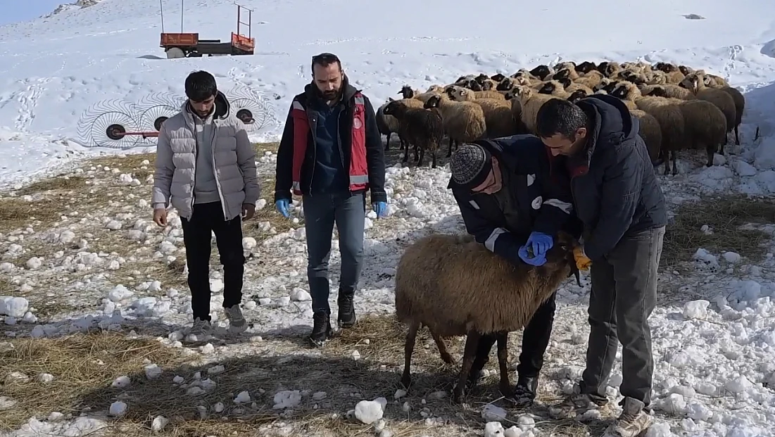 Sürülere kış mevsimine özel mobil sağlık hizmeti