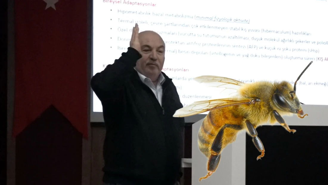 Türkiye'de kışlama döneminde arı ölümleri artıyor