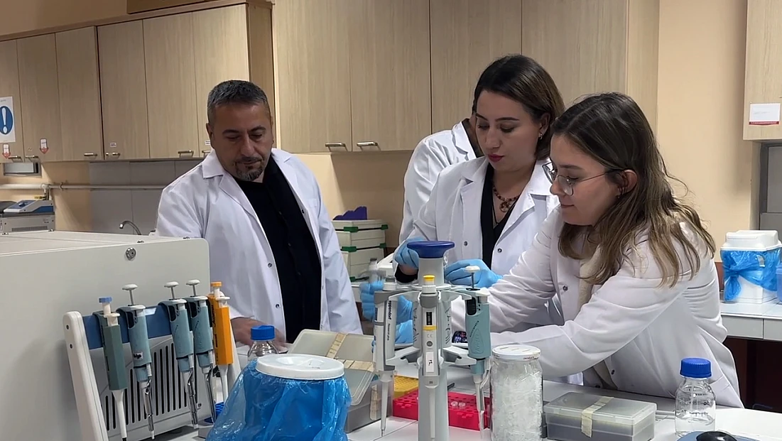 Türkiye'de kör köstebeğin 3 yeni türü keşfedildi