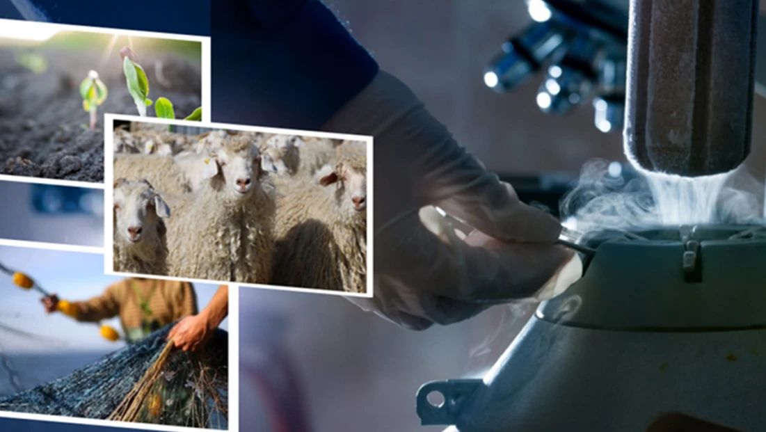 Üretim yapan çiftçilerin destek ödemesi yapıldı