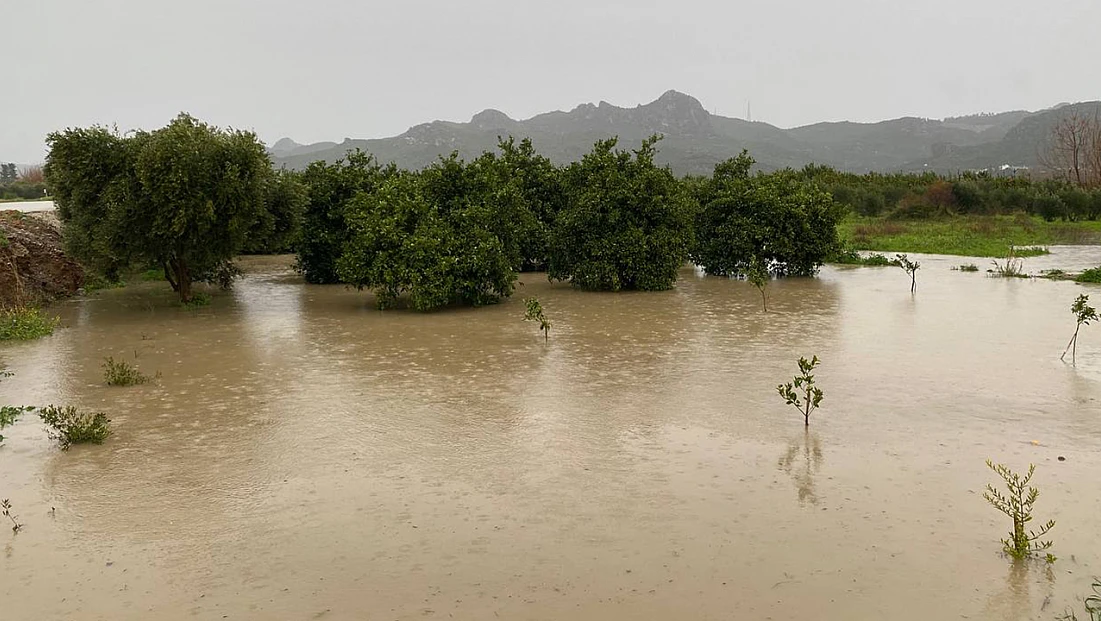 Yağışlardan olumsuz etkilenen üreticiler için tüm tedbirler alındı