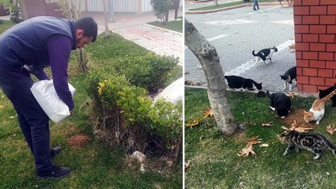 DDA, Çığ Gibi Büyüyor! Şimdi de Bodrum-Gümbet'te Açıldı!