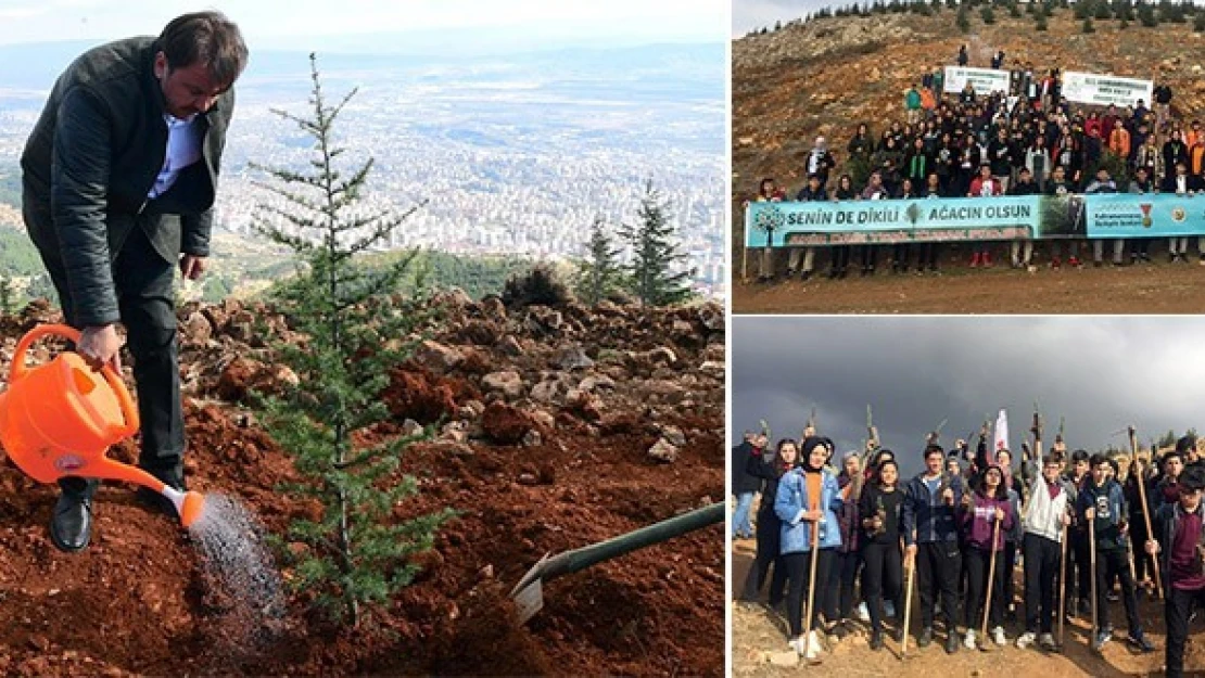 Senin De Bir Dikili Ağacın Olsun Kampanyası Sürüyor!