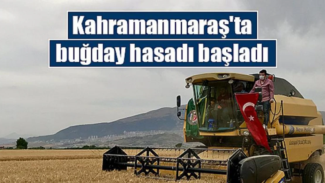 Kahramanmaraş'ta buğday hasadı başladı