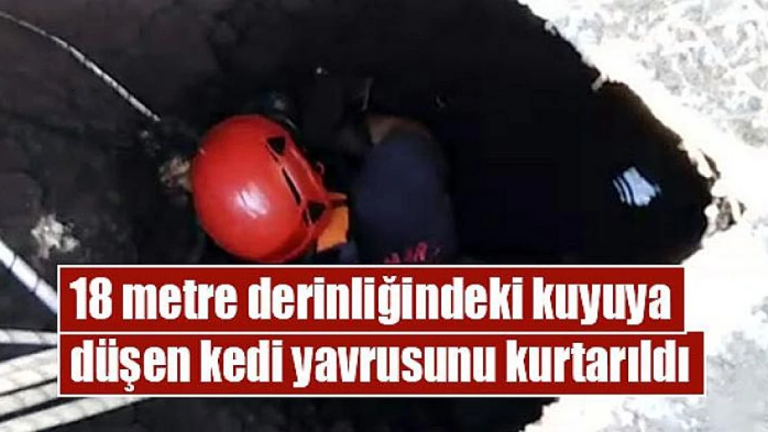 18 metre derinliğindeki kuyuya düşen kedi yavrusunu kurtarıldı