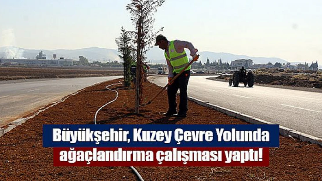 Büyükşehir, Kuzey Çevre Yolunda ağaçlandırma çalışması yaptı!