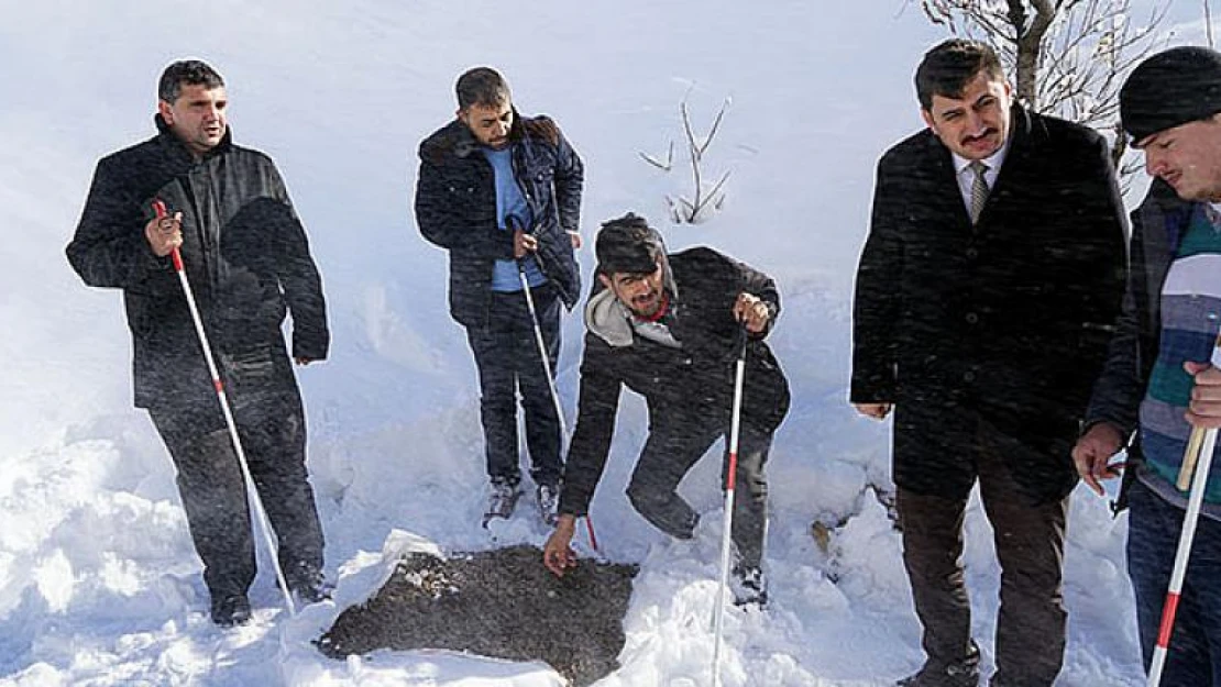 Beyaz Bastonlular, Ahir Dağı'nda doğaya yem bıraktı!