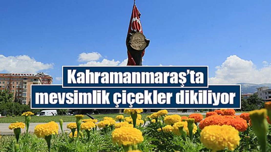 Kahramanmaraş'ta mevsimlik çiçekler dikiliyor