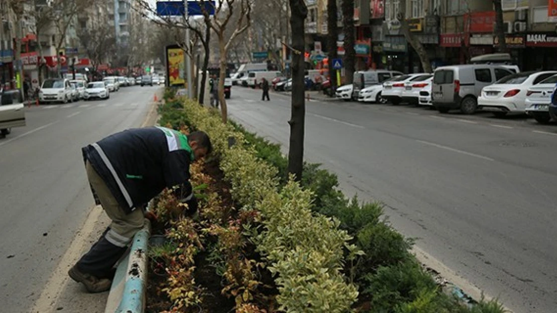 Büyükşehir, Kahramanmaraş'ı bahara hazırlanıyor!