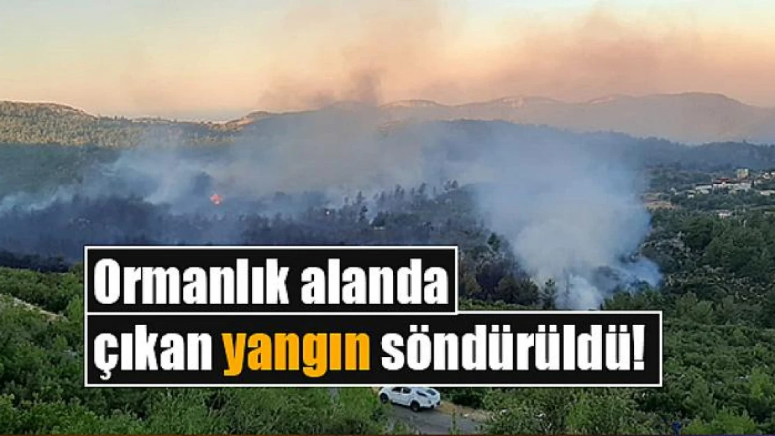 Ormanlık alanda çıkan yangın söndürüldü