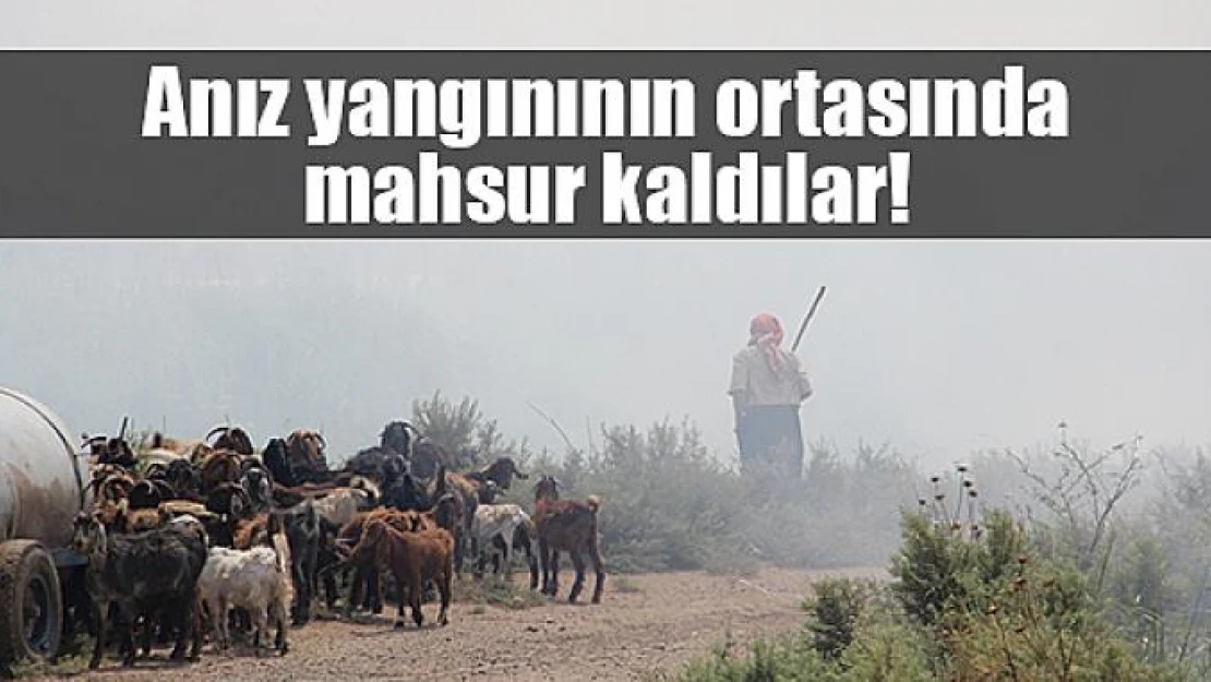 Anız yangınının ortasında mahsur kaldılar!