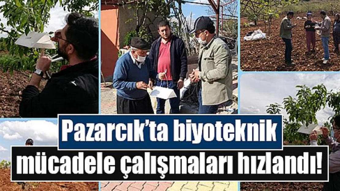 Pazarcık'ta biyoteknik mücadele çalışmaları hızlandı