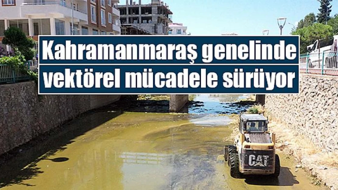 Kahramanmaraş genelinde vektörel mücadele sürüyor