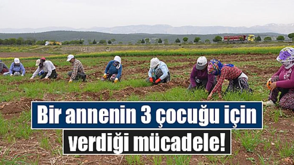 Bir annenin 3 çocuğu için verdiği mücadele!