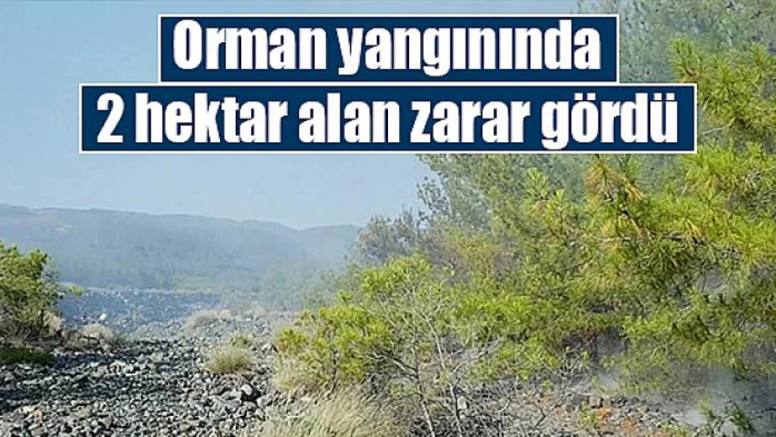 Orman yangınında 2 hektar alan zarar gördü