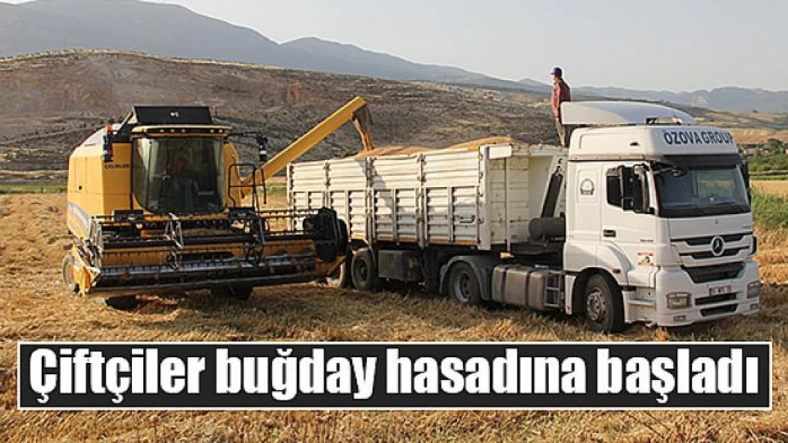 Çiftçiler buğday hasadına başladı