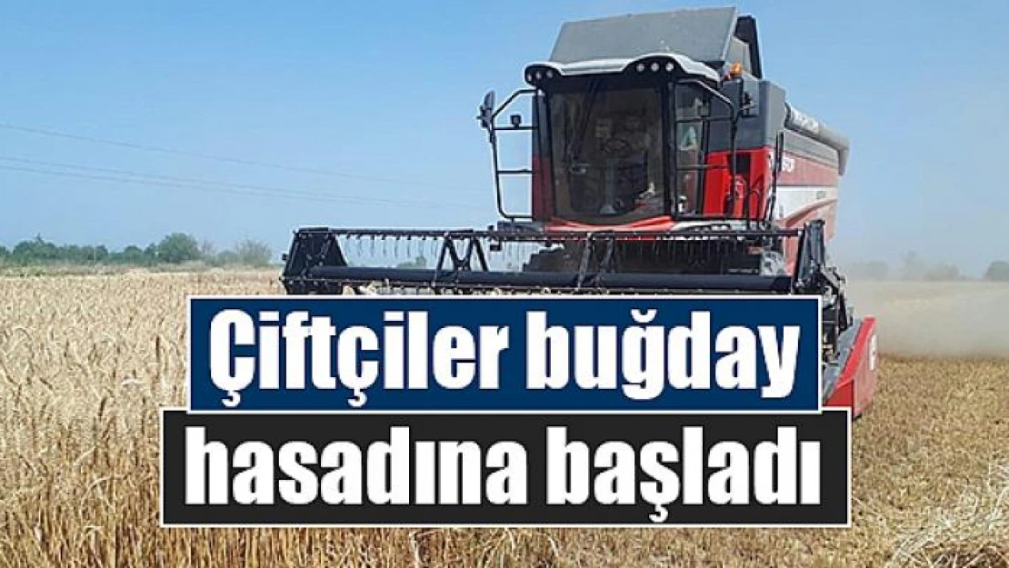 Çiftçiler buğday hasadına başladı