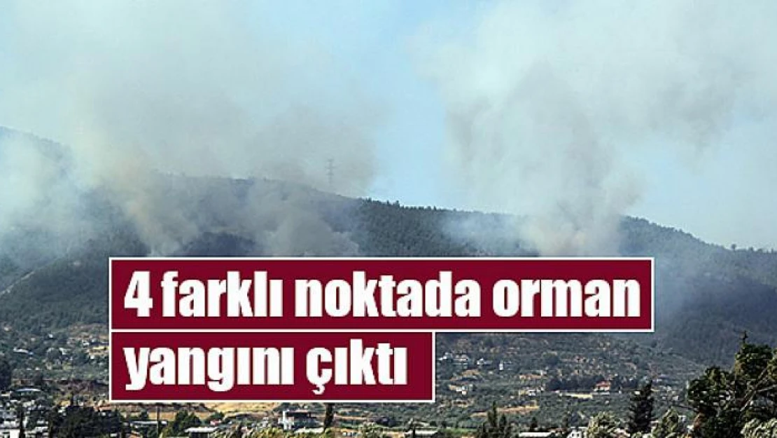 4 farklı noktada orman yangını çıktı