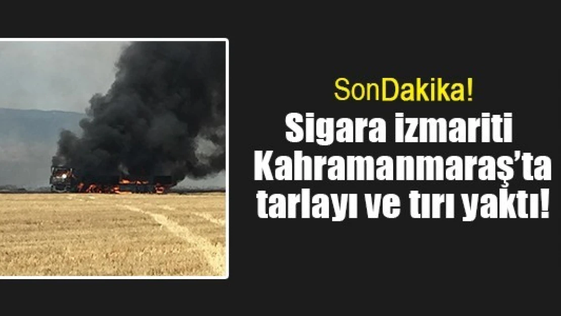 Sigara izmariti Kahramanmaraş'ta tarlayı ve tırı yaktı!