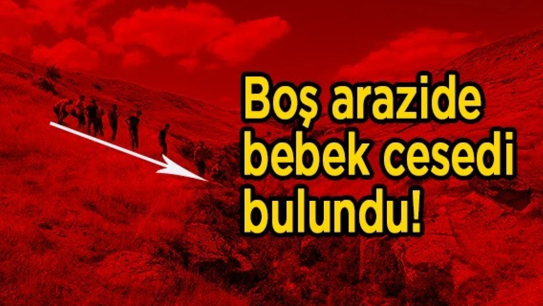 Boş arazide bebek cesedi bulundu!