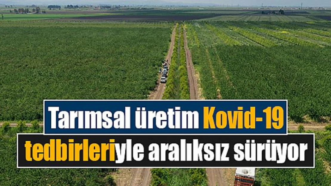 Tarımsal üretim Kovid-19 tedbirleriyle aralıksız sürüyor