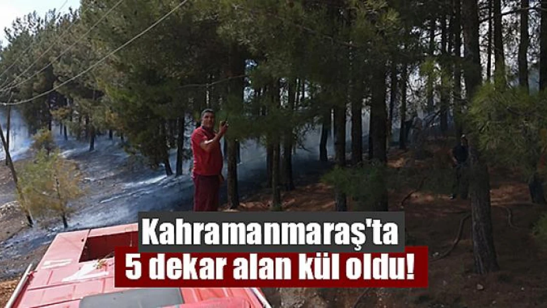 Kahramanmaraş'ta 5 dekar alan kül oldu!