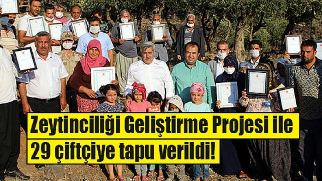 Zeytinciliği Geliştirme Projesi ile 29 çiftçiye tapu verildi