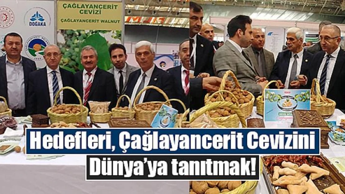 Hedefleri, Çağlayancerit Cevizini Dünya'ya tanıtmak!