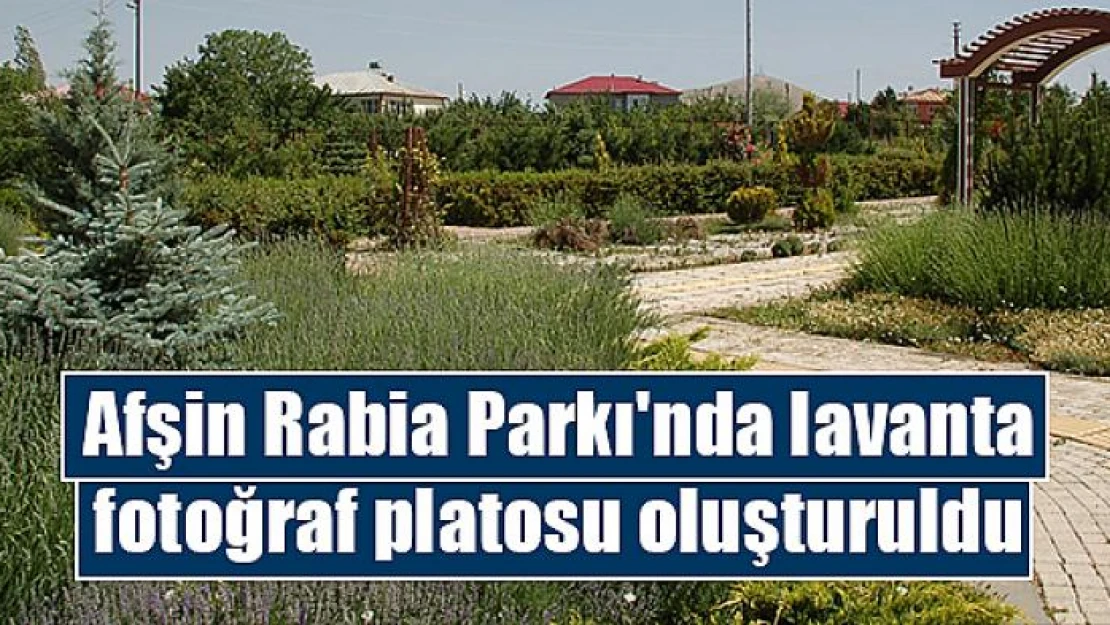 Afşin Rabia Parkı'nda lavanta fotoğraf platosu oluşturuldu