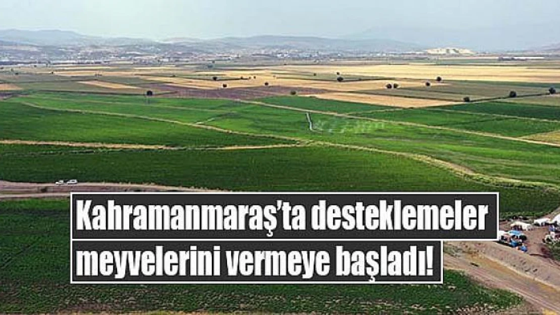 Kahramanmaraş'ta desteklemeler meyvelerini vermeye başladı