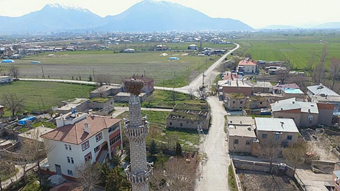 Leylekler Elbistan'da 59 yıldır aynı minarede konaklıyor!