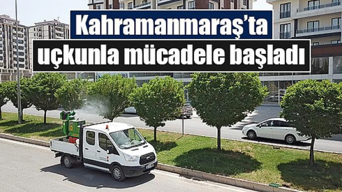 Kahramanmaraş'ta uçkunla mücadele başladı