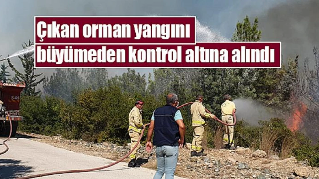 Çıkan orman yangını büyümeden kontrol altına alındı