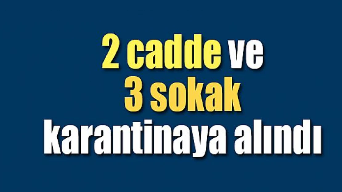 2 cadde ve 3 sokak karantinaya alındı