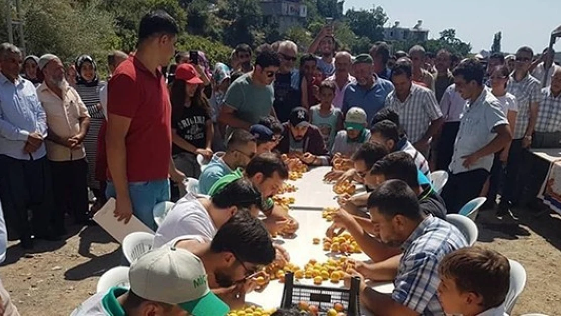 Geleneksel Kayısı Festivali'ne yoğun ilgi! 