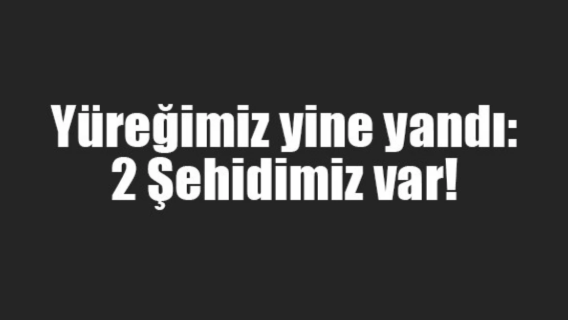 Yüreğimiz yine yandı: 2 Şehidimiz var!