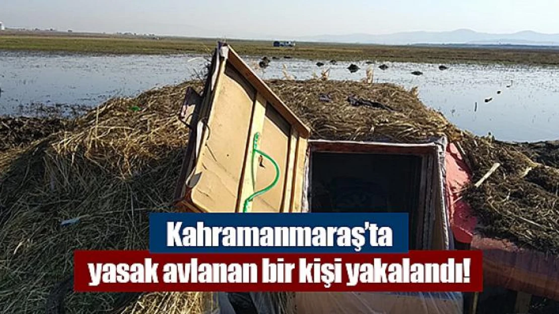 Kahramanmaraş'ta yasak avlanan bir kişi yakalandı!