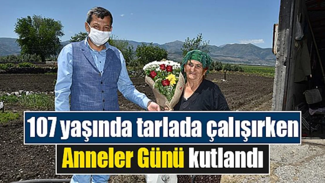 107 yaşında tarlada çalışırken Anneler Günü kutlandı