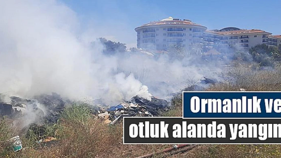 Ormanlık ve otluk alanda yangın