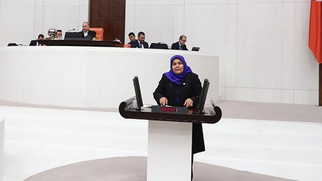 Milletvekili Öçal'dan HDP'li vekile tarih dersi