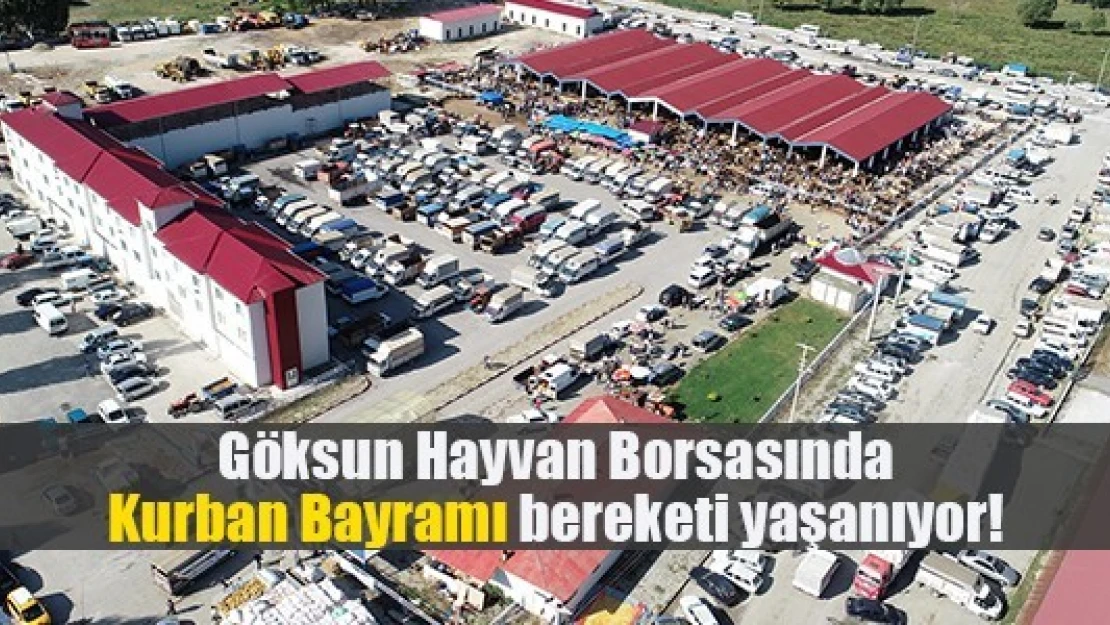 Göksun Hayvan Borsasında bayram bereketi yaşanıyor!