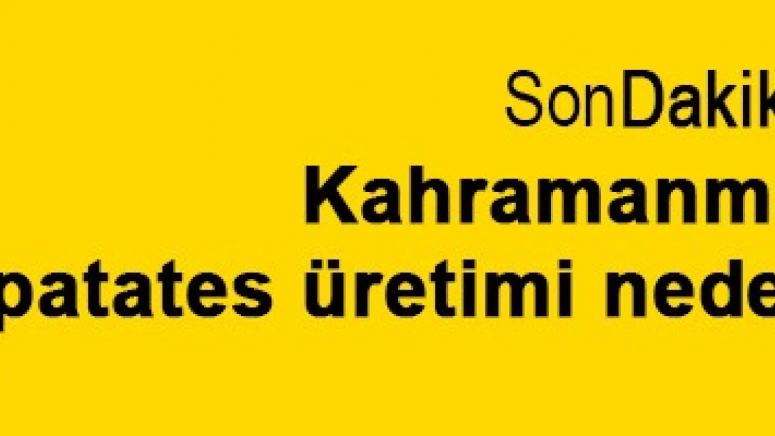 Kahramanmaraş'ta patates üretimi neden durduruldu?