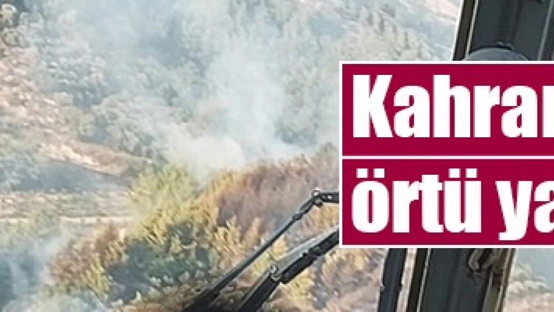 Kahramanmaraş'ta örtü yangını