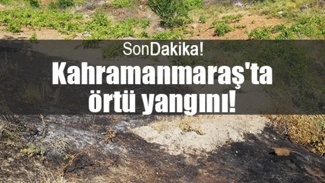 Kahramanmaraş'ta örtü yangını!