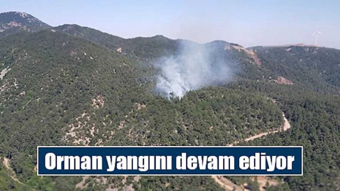 Orman yangını devam ediyor