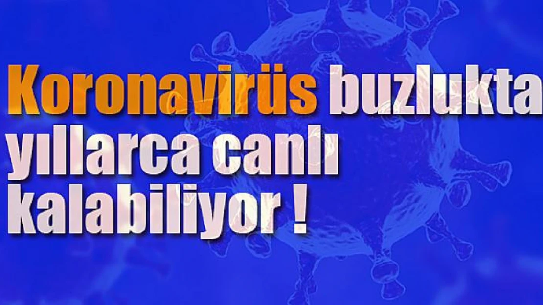 Koronavirüs buzlukta yıllarca canlı kalabiliyor