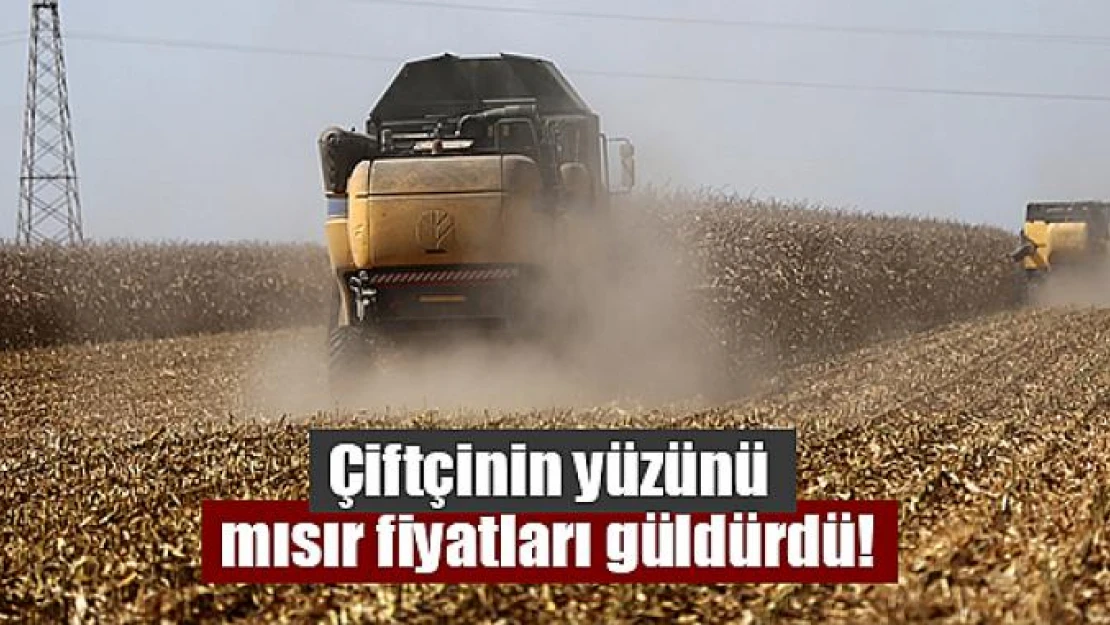 Çiftçinin yüzünü mısır fiyatları güldürdü!